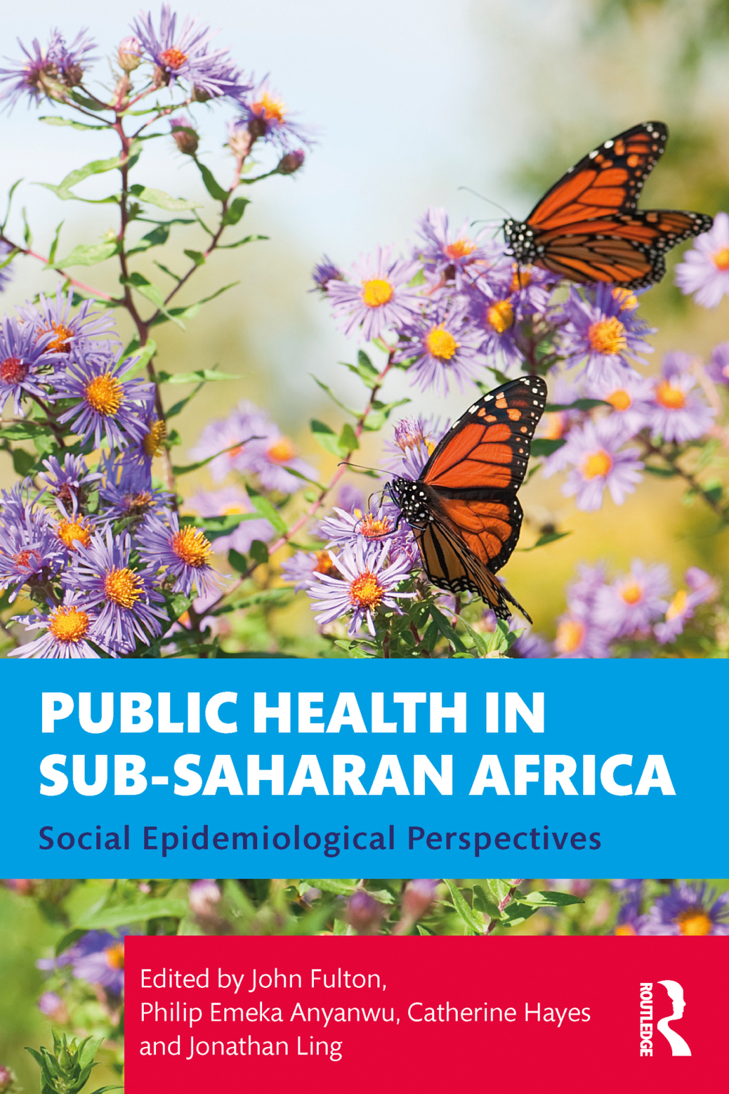Public Health in Sub-Saharan Africa Social Epidemiological Perspectives 1st Edition â€“ PDF/EPUB Version Downloadable