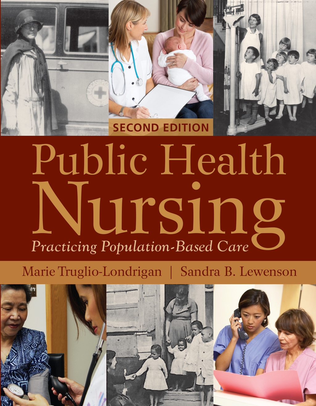 Public Health Nursing Practicing Population-Based Care 2nd Edition â€“ PDF/EPUB Version Downloadable