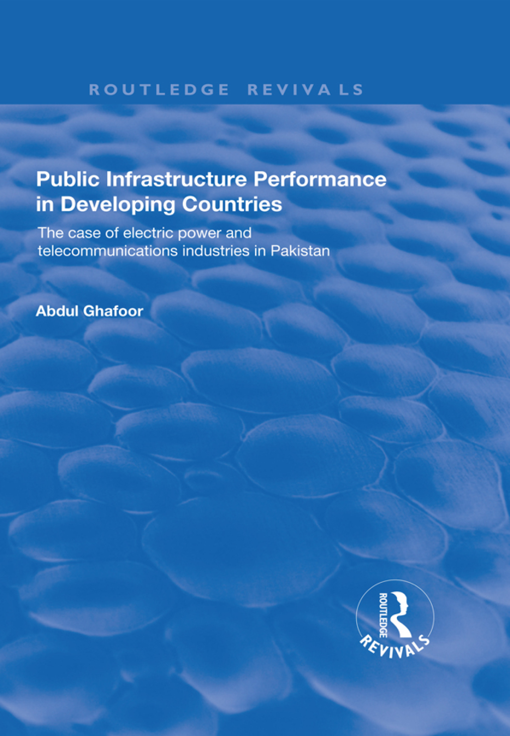 Public Infrastructure Performance in Developing Countries 1st Edition â€“ PDF/EPUB Version Downloadable