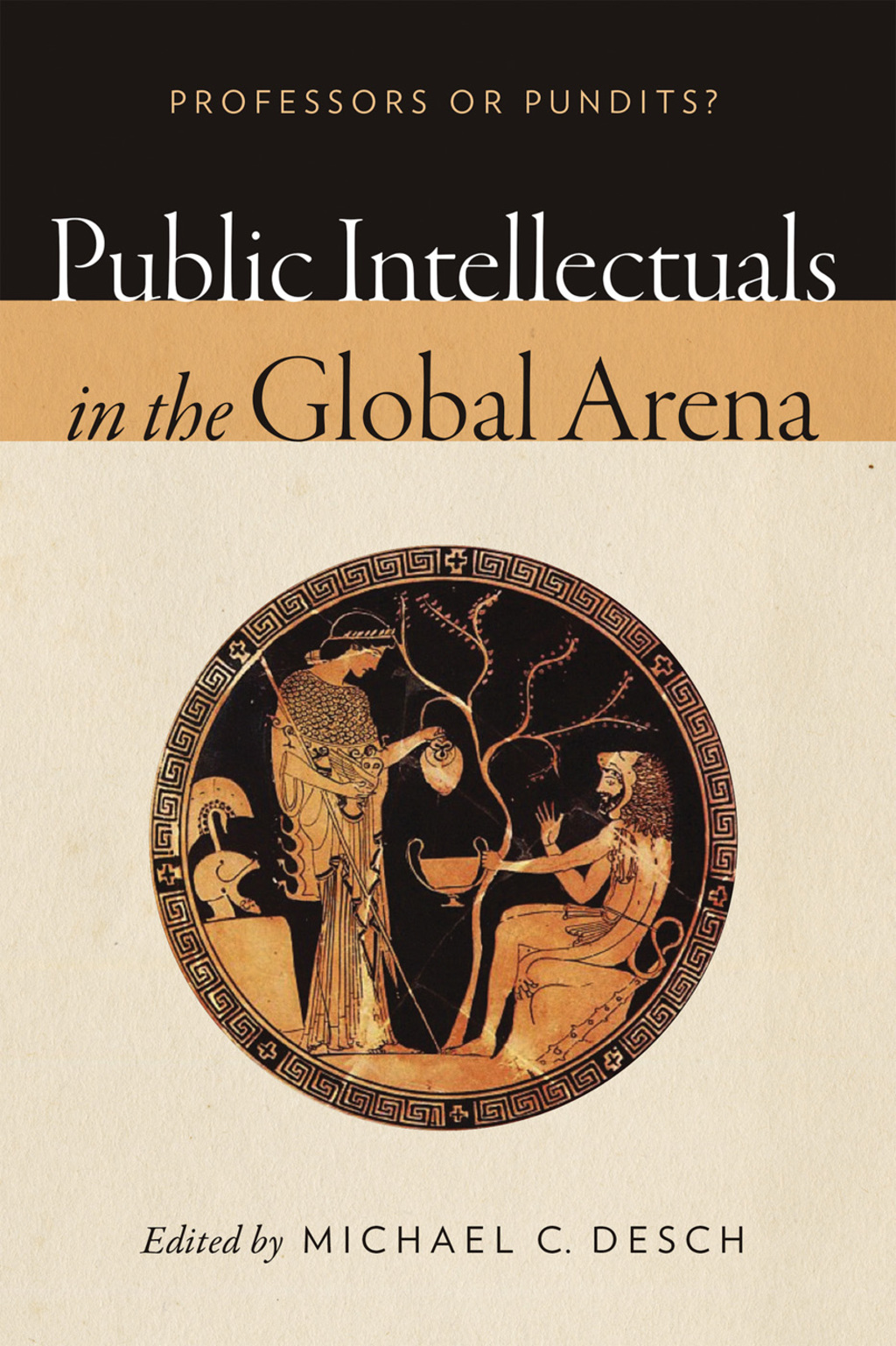 Public Intellectuals in the Global Arena Professors or Pundits?  â€“ PDF/EPUB Version Downloadable