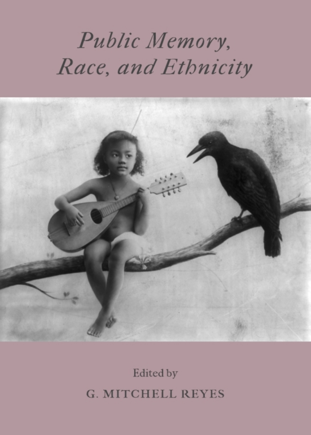Public Memory, Race, and Ethnicity 1st Edition â€“ PDF/EPUB Version Downloadable
