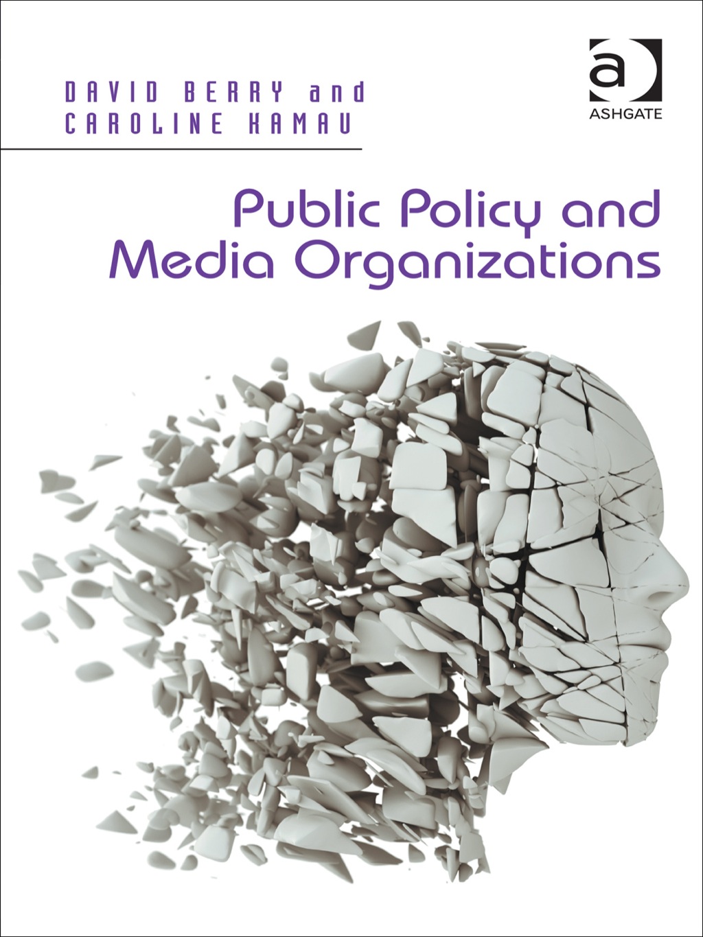 Public Policy and Media Organizations  â€“ PDF/EPUB Version Downloadable