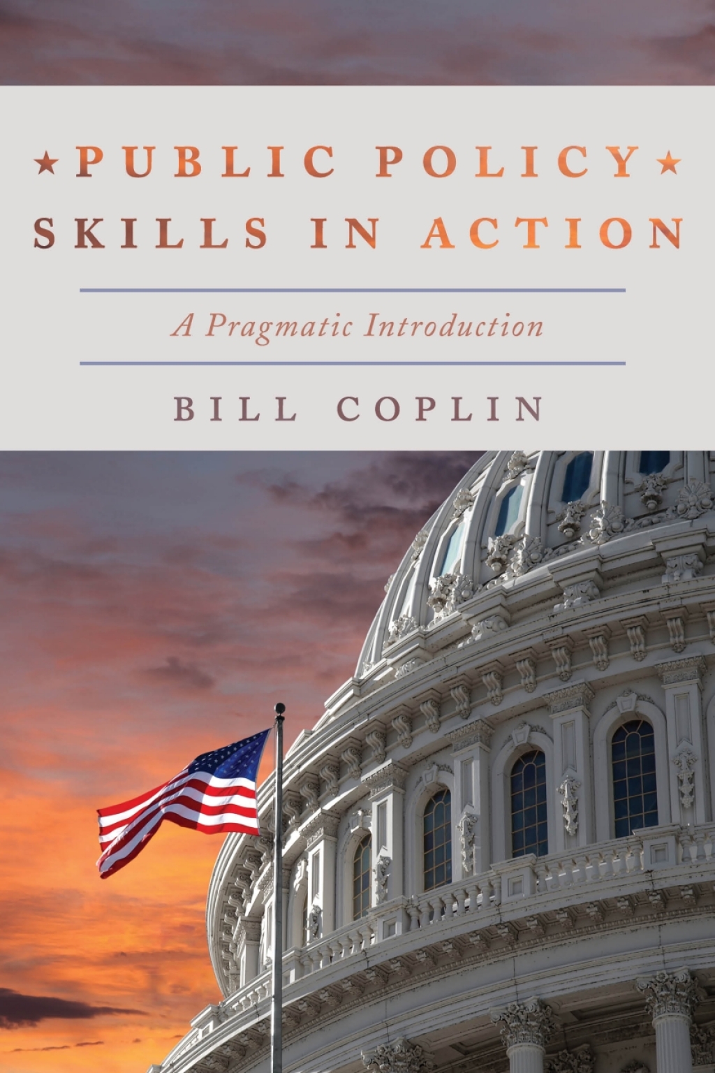 Public Policy Skills in Action A Pragmatic Introduction 1st Edition â€“ PDF/EPUB Version Downloadable