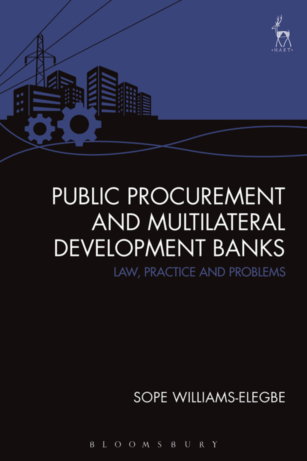 Public Procurement and Multilateral Development Banks Law, Practice and Problems 1st Edition â€“ PDF/EPUB Version Downloadable