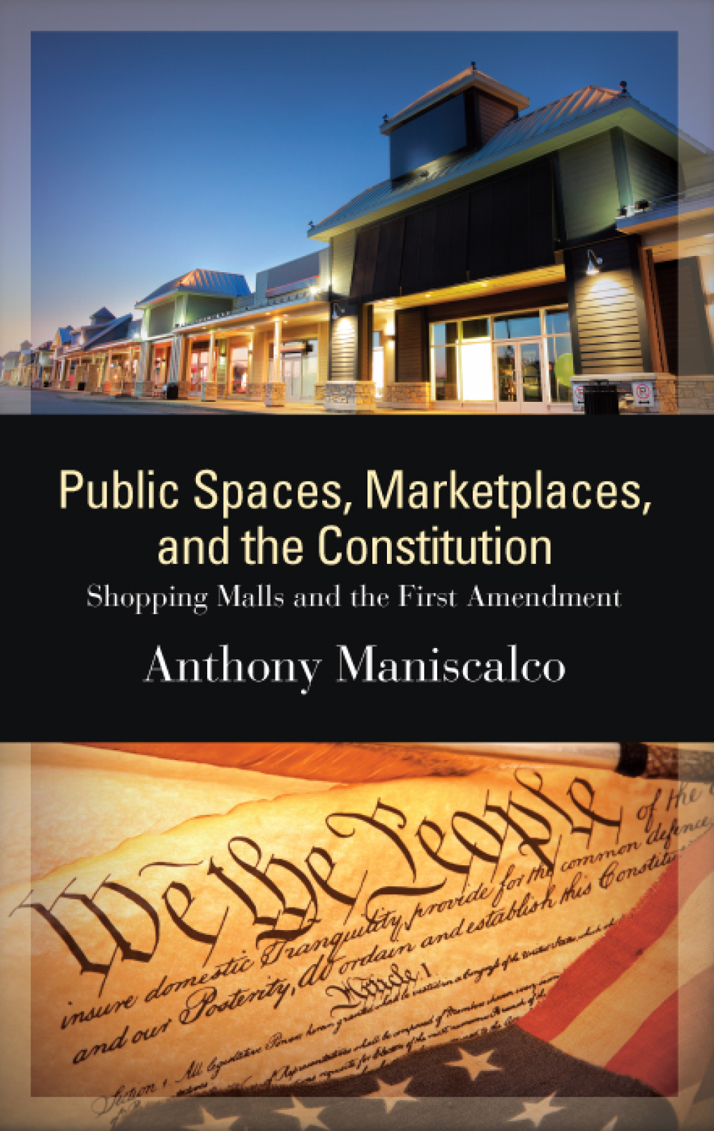 Public Spaces, Marketplaces, and the Constitution Shopping Malls and the First Amendment  â€“ PDF/EPUB Version Downloadable