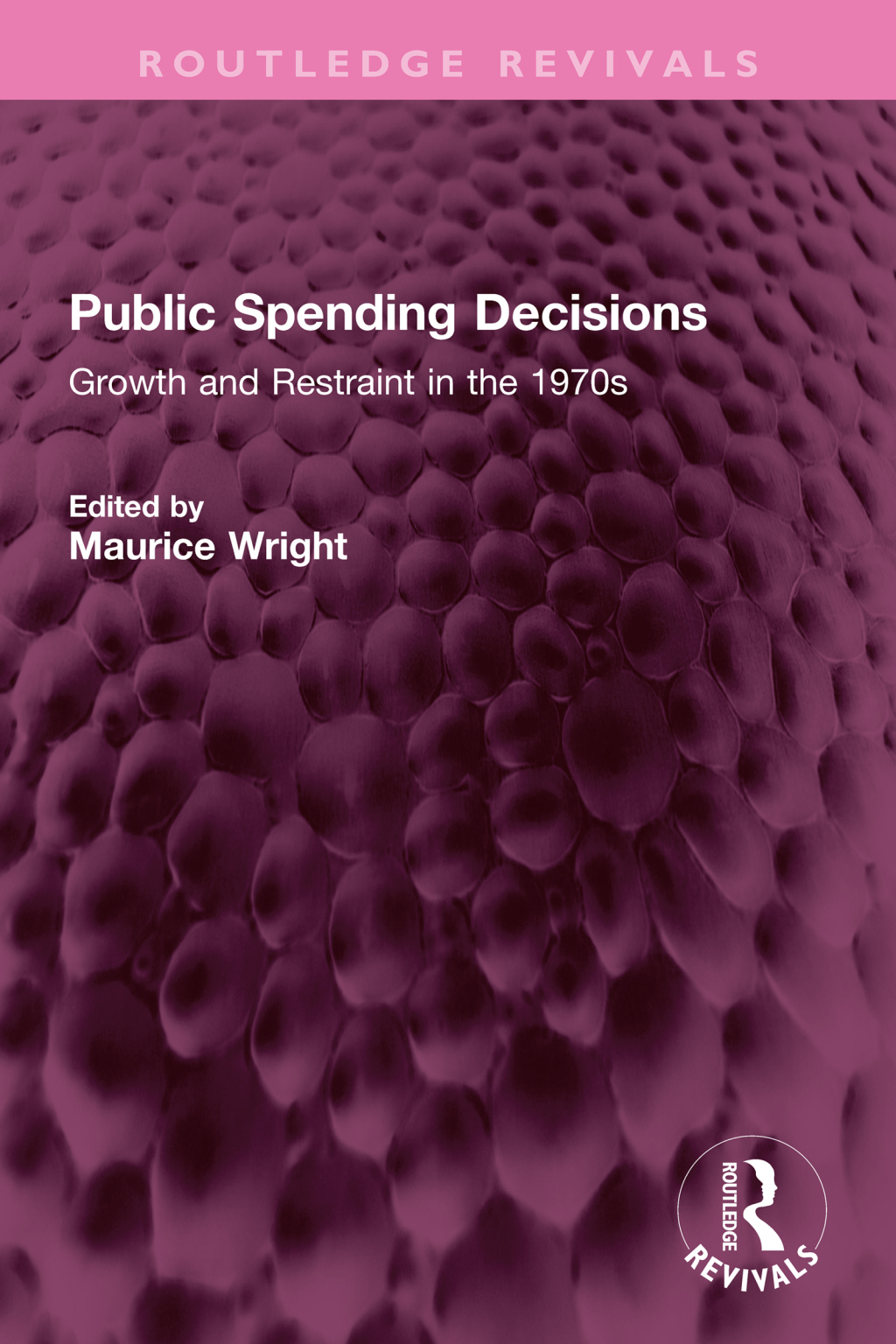 Public Spending Decisions Growth and Restraint in the 1970s 1st Edition â€“ PDF/EPUB Version Downloadable