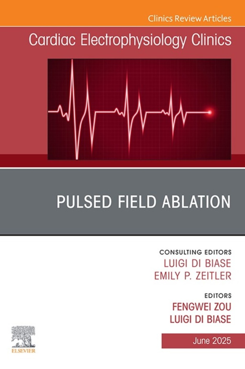 Pulsed Field Ablation, An Issue of Cardiac Electrophysiology Clinics  â€“ PDF/EPUB Version Downloadable