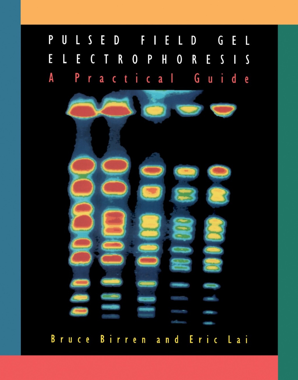 Pulsed Field Gel Electrophoresis: A Practical Guide  â€“ PDF/EPUB Version Downloadable