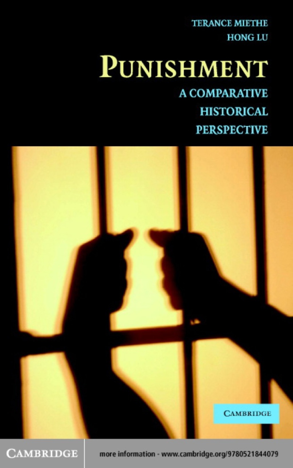 Punishment A Comparative Historical Perspective 1st Edition â€“ PDF/EPUB Version Downloadable