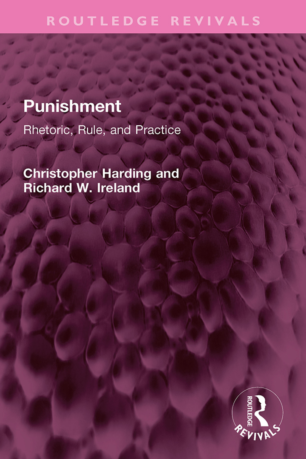 Punishment Rhetoric, Rule, and Practice 1st Edition â€“ PDF/EPUB Version Downloadable