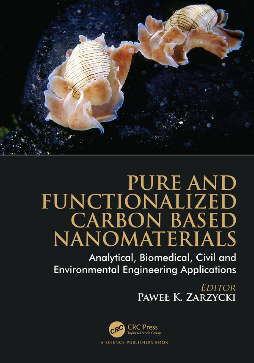Pure and Functionalized Carbon Based Nanomaterials Analytical, Biomedical, Civil and Environmental Engineering Applications 1st Edition â€“ PDF/EPUB Version Downloadable