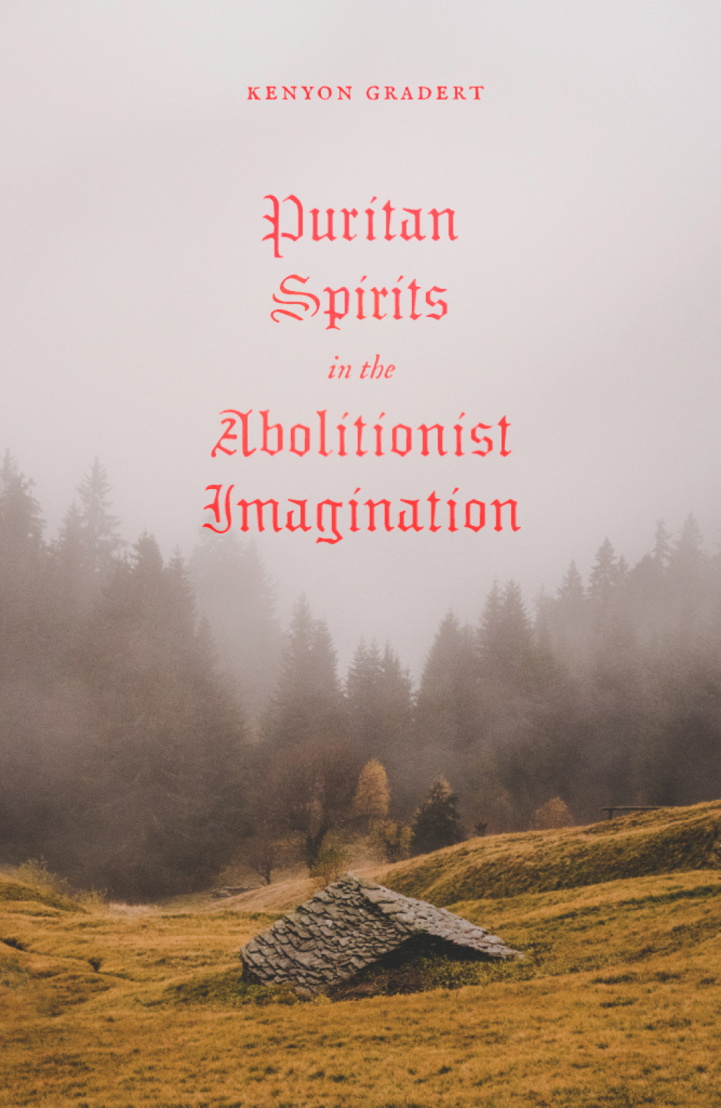 Puritan Spirits in the Abolitionist Imagination  â€“ PDF/EPUB Version Downloadable