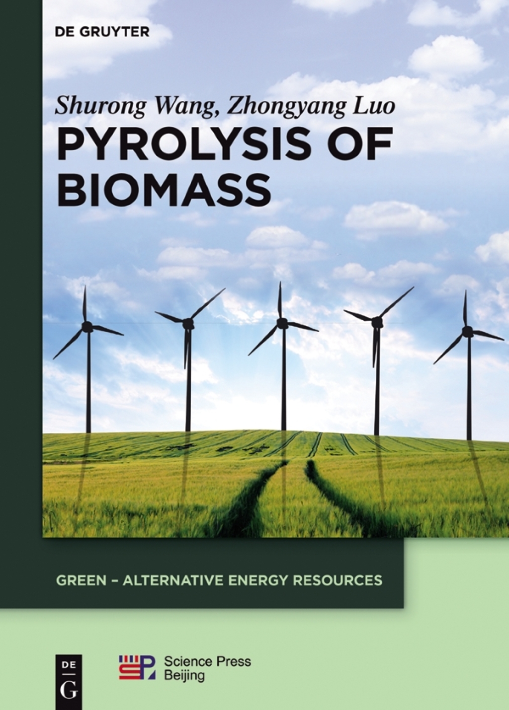Pyrolysis of Biomass 1st Edition â€“ PDF/EPUB Version Downloadable