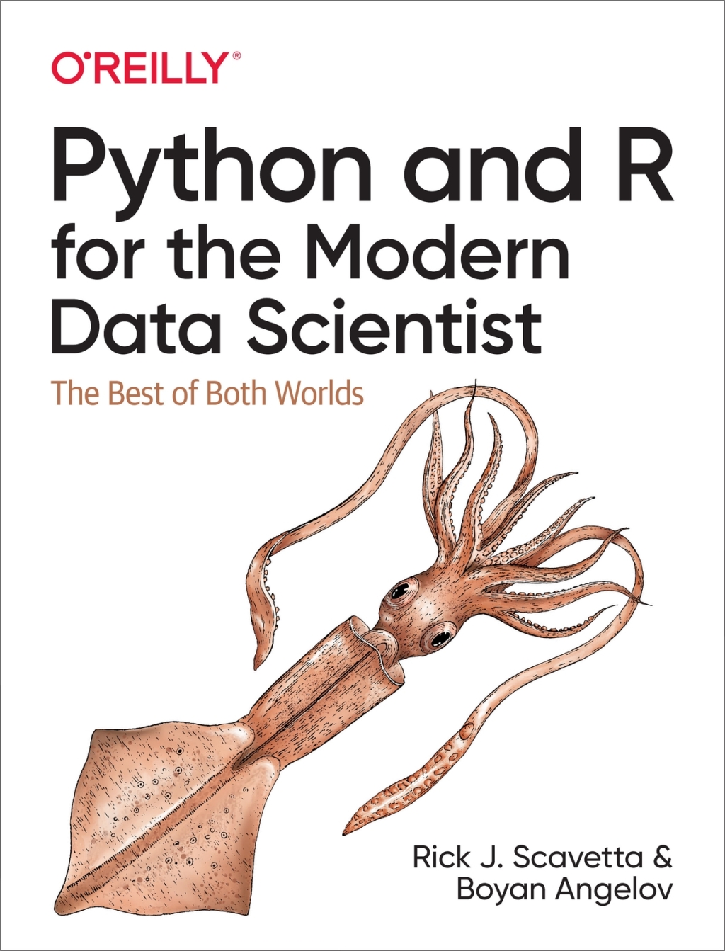 Python and R for the Modern Data Scientist 1st Edition â€“ PDF/EPUB Version Downloadable