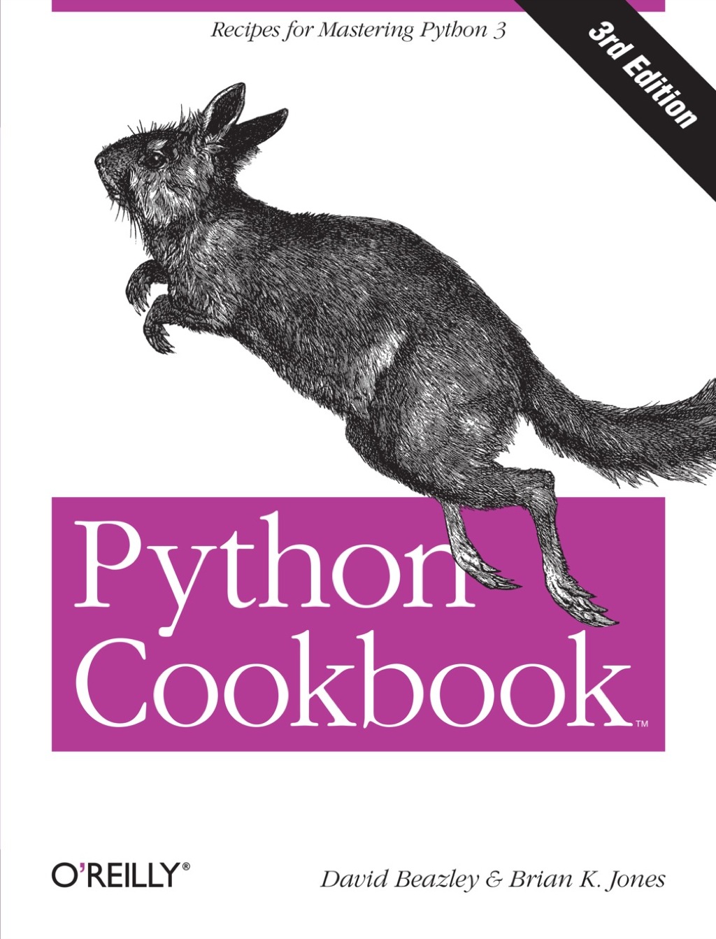 Python Cookbook 3rd Edition â€“ PDF/EPUB Version Downloadable