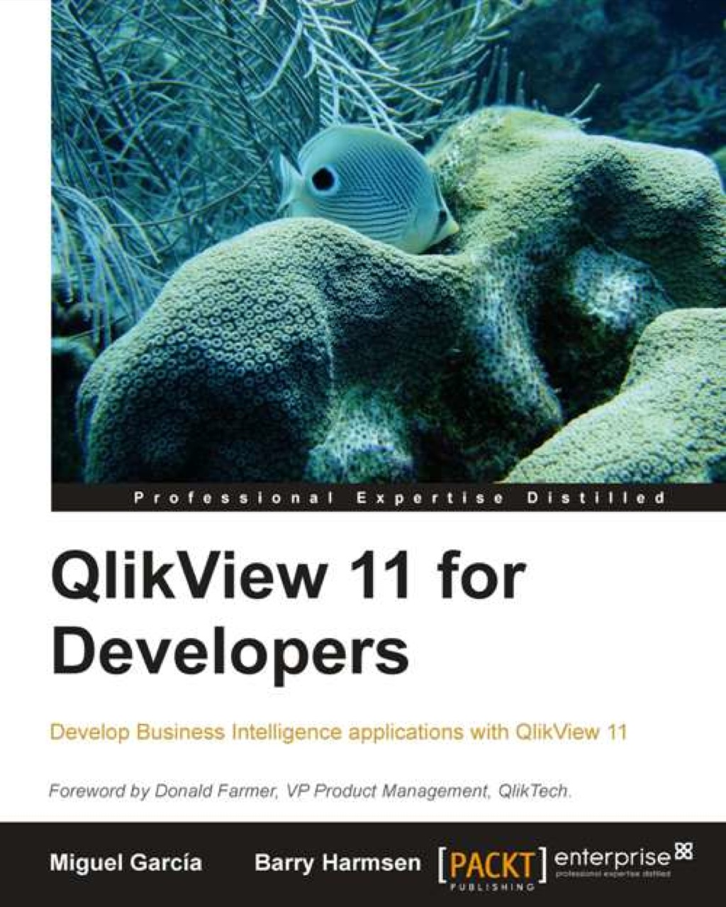 QlikView 11 for Developers 1st Edition â€“ PDF/EPUB Version Downloadable