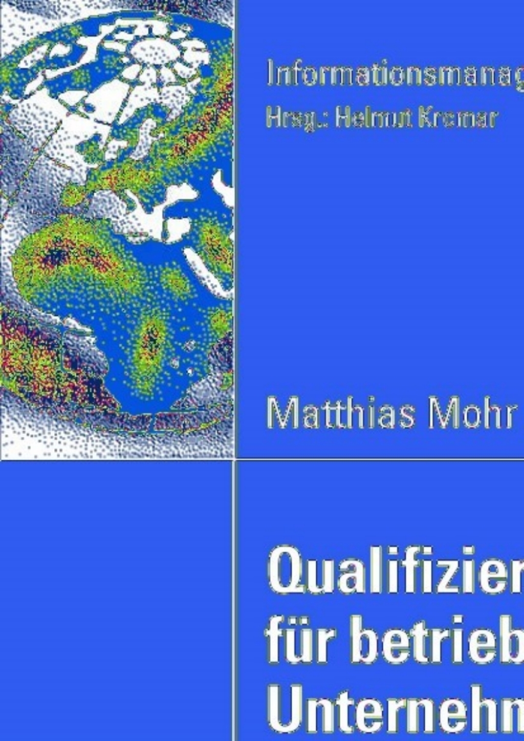 Qualifizierungsstrategien fÃ¼r betriebswirtschaftliche Unternehmenssoftware Eine empirische Untersuchung bei deutschen Unternehmen  â€“ PDF/EPUB Version Downloadable