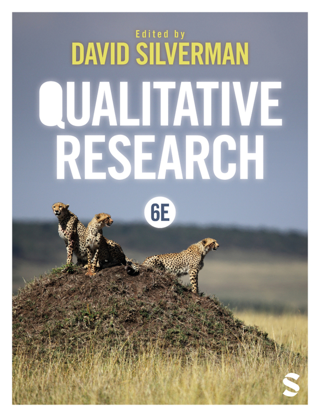 Qualitative Research 6th Edition â€“ PDF/EPUB Version Downloadable