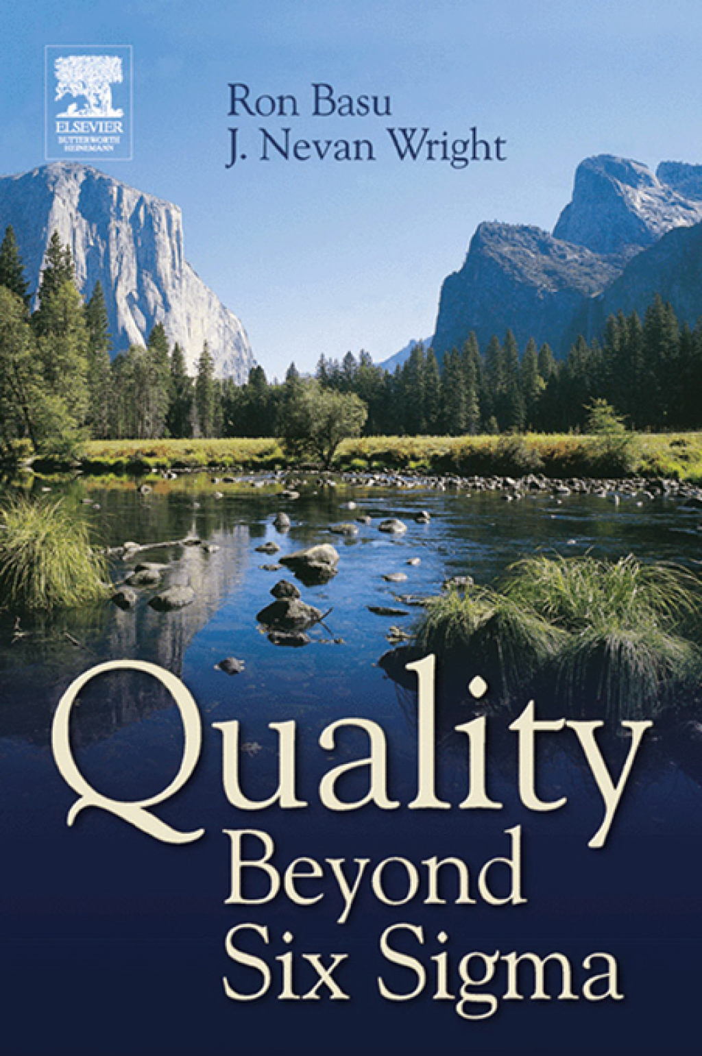 Quality Beyond Six Sigma 1st Edition â€“ PDF/EPUB Version Downloadable