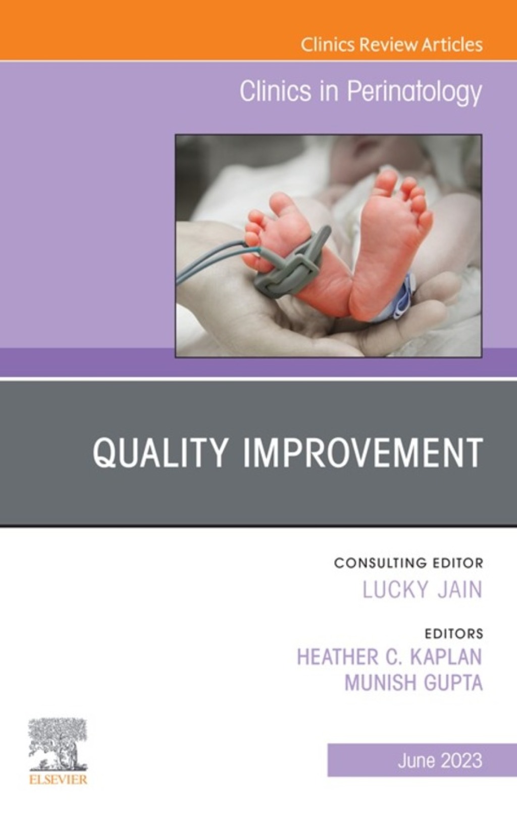 Quality Improvement, An Issue of Clinics in Perinatology 1st Edition â€“ PDF/EPUB Version Downloadable