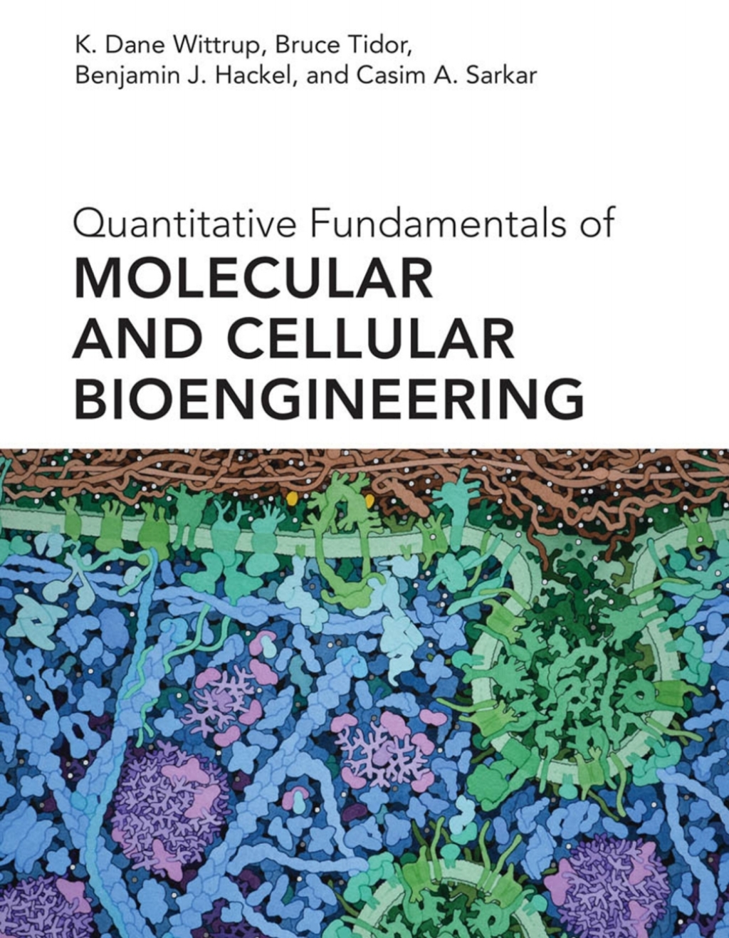 Quantitative Fundamentals of Molecular and Cellular Bioengineering  â€“ PDF/EPUB Version Downloadable