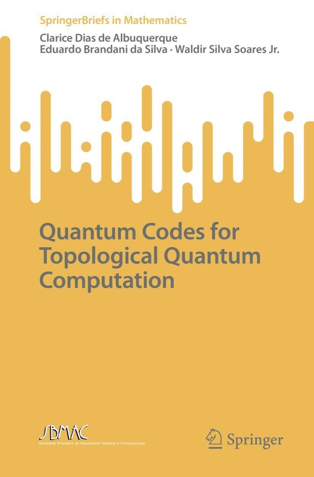 Quantum Codes for Topological Quantum Computation  â€“ PDF/EPUB Version Downloadable