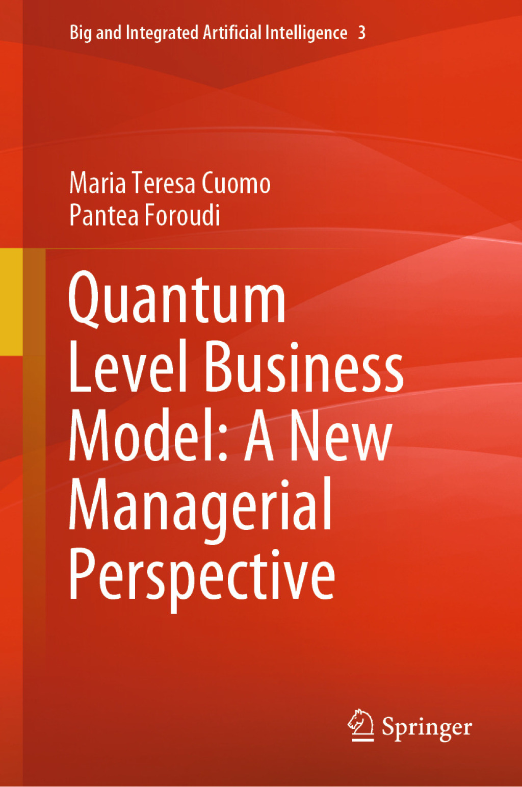 Quantum Level Business Model: A New Managerial Perspective  â€“ PDF/EPUB Version Downloadable