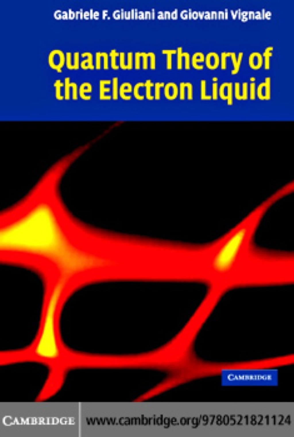 Quantum Theory of the Electron Liquid 1st Edition â€“ PDF/EPUB Version Downloadable