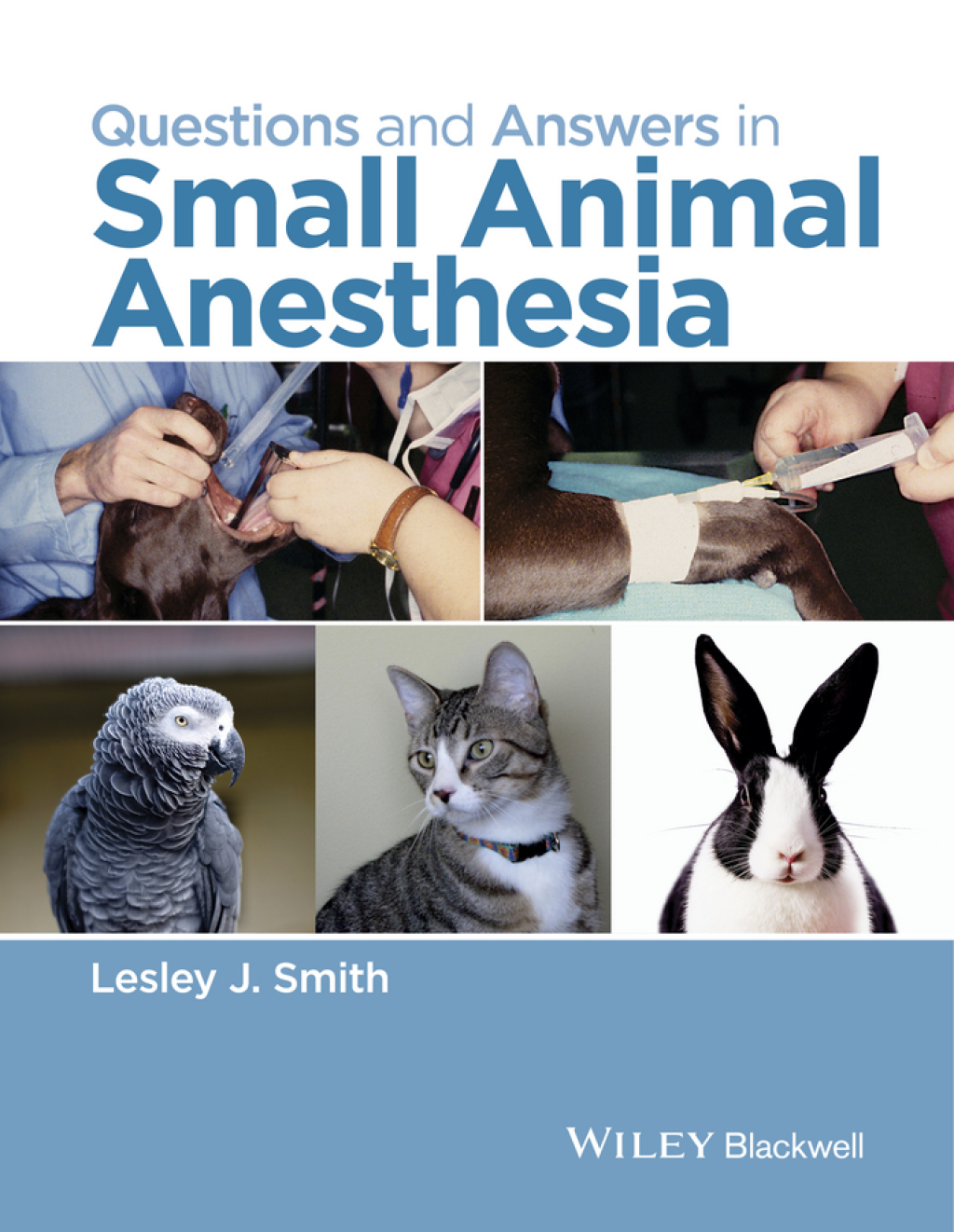Questions and Answers in Small Animal Anesthesia 1st Edition â€“ PDF/EPUB Version Downloadable