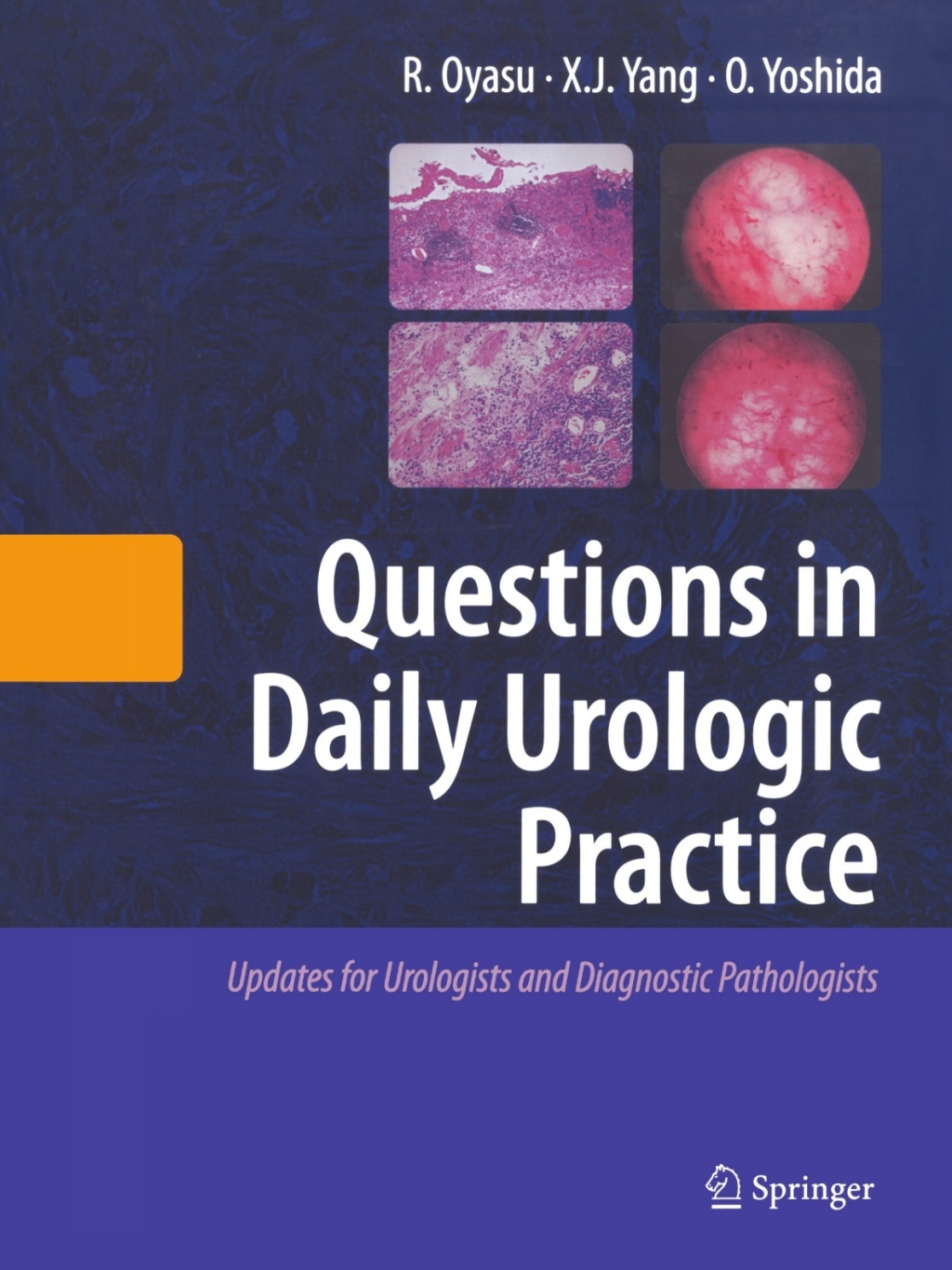 Questions in Daily Urologic Practice Updates for Urologists and Diagnostic Pathologists  â€“ PDF/EPUB Version Downloadable