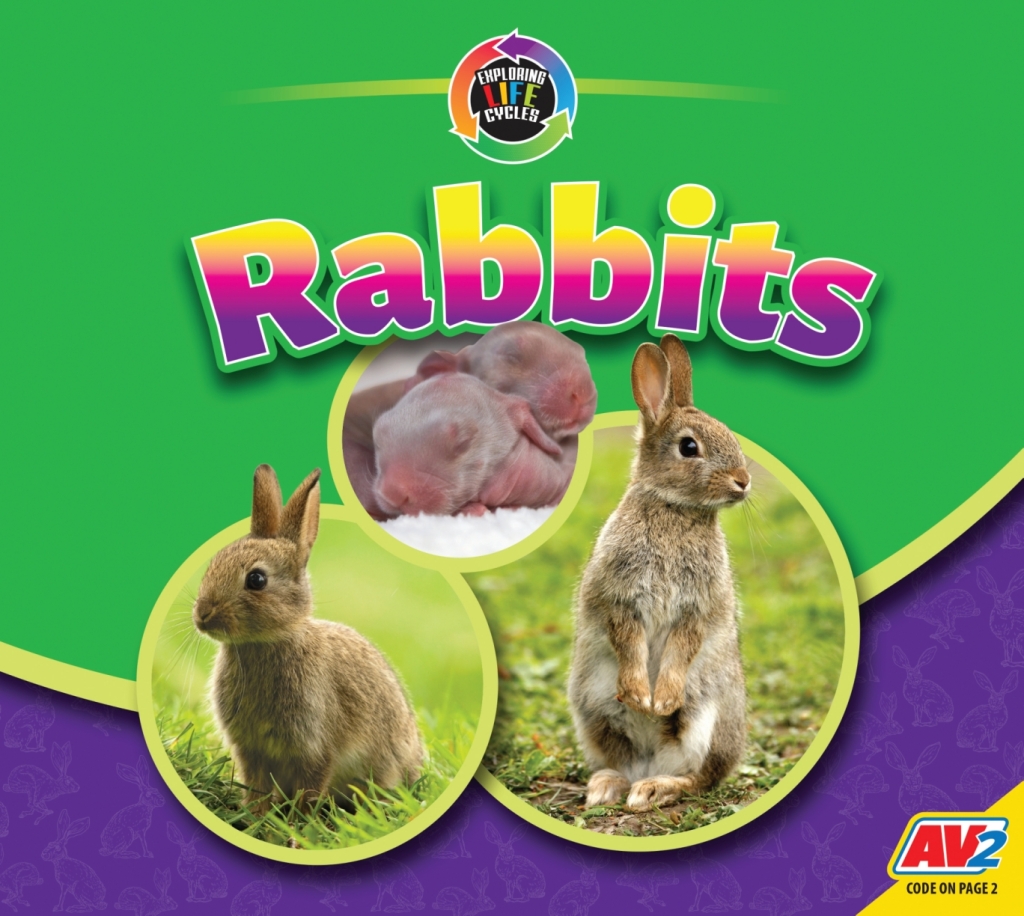 Rabbits 1st Edition â€“ PDF/EPUB Version Downloadable