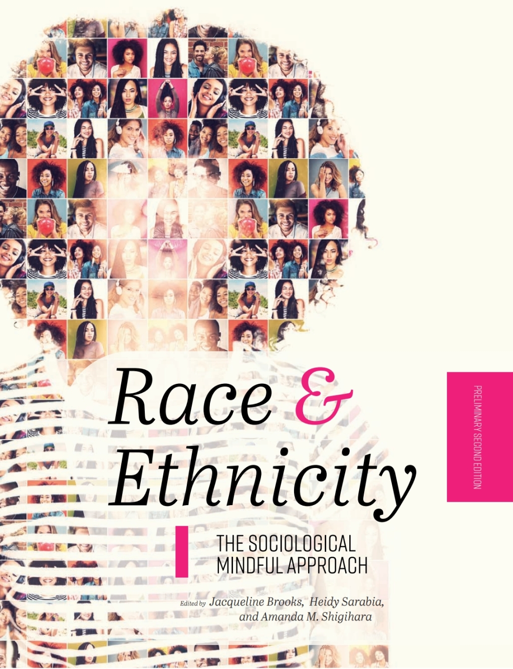 Race and Ethnicity 2nd Edition â€“ PDF/EPUB Version Downloadable