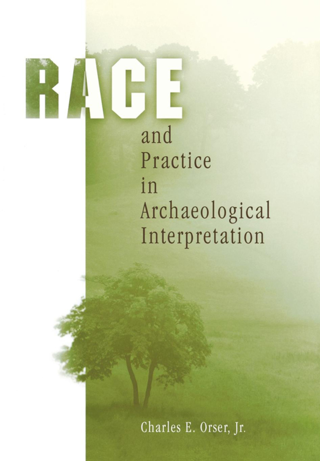 Race and Practice in Archaeological Interpretation  â€“ PDF/EPUB Version Downloadable