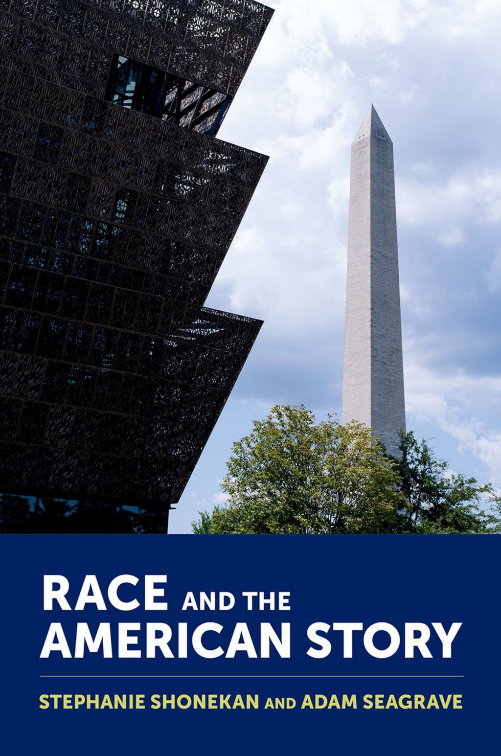 Race and the American Story 1st Edition - (PDF/EPUB Version)