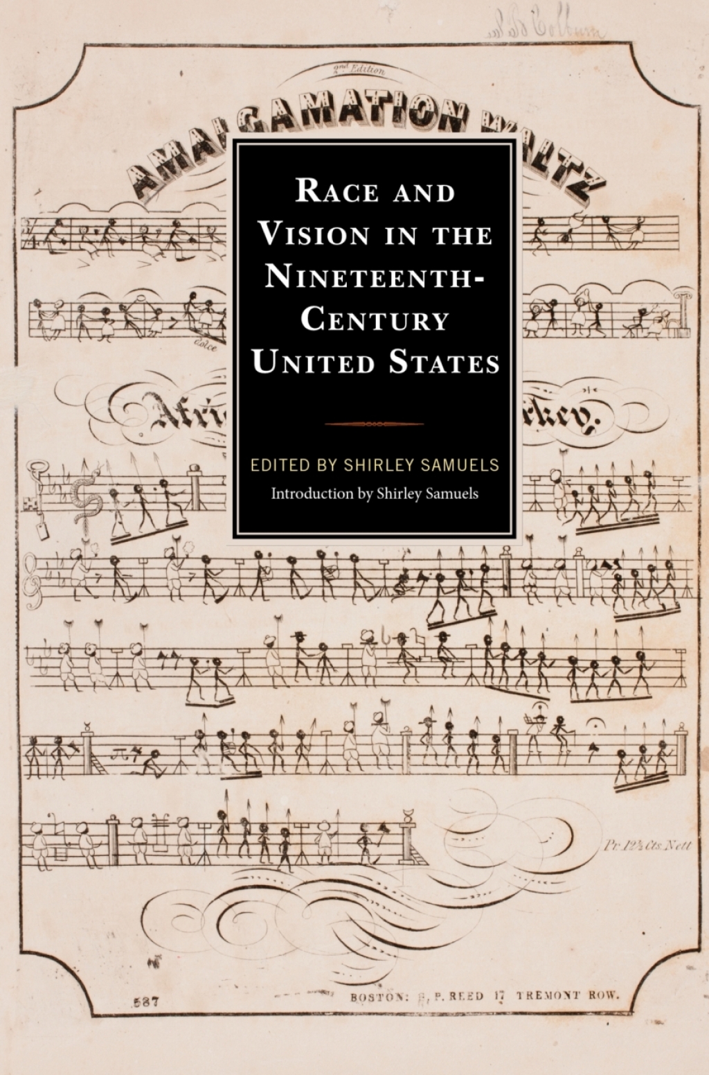 Race and Vision in the Nineteenth-Century United States 1st Edition â€“ PDF/EPUB Version Downloadable
