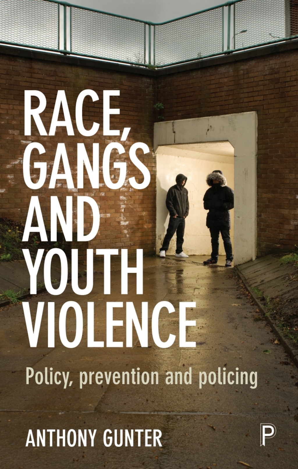 Race, Gangs and Youth Violence Policy, Prevention and Policing 1st Edition â€“ PDF/EPUB Version Downloadable
