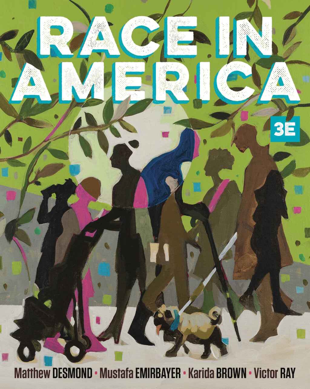 Race in America 3rd Edition â€“ PDF/EPUB Version Downloadable
