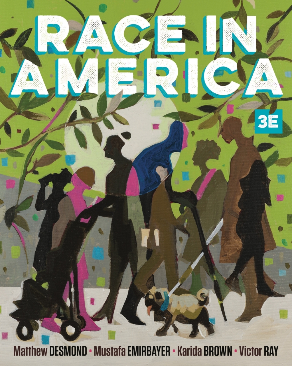 Race in America Courseware (Norton Illumine Ebook and InQuizitive) 3rd Edition â€“ PDF/EPUB Version Downloadable