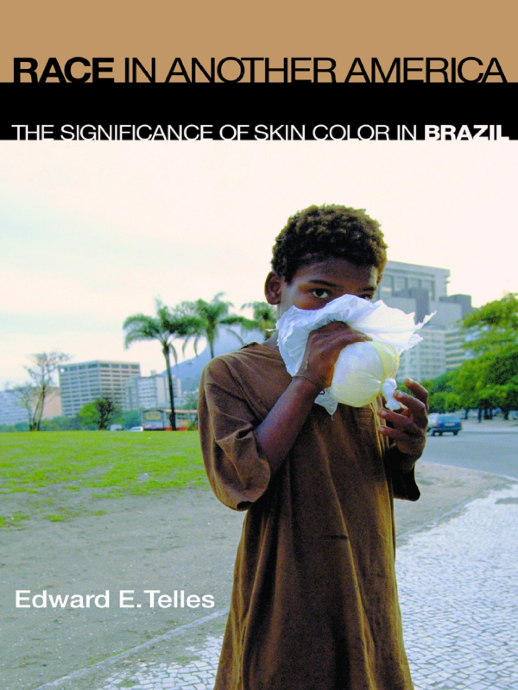 Race in Another America The Significance of Skin Color in Brazil  â€“ PDF/EPUB Version Downloadable