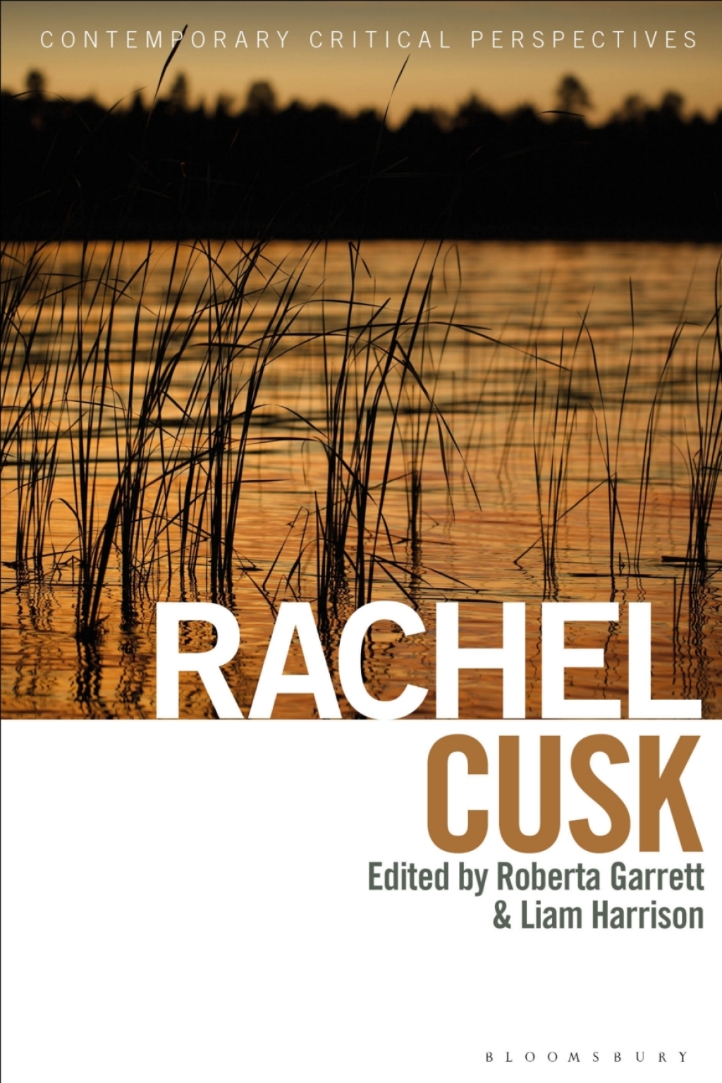 Rachel Cusk Contemporary Critical Perspectives 1st Edition â€“ PDF/EPUB Version Downloadable