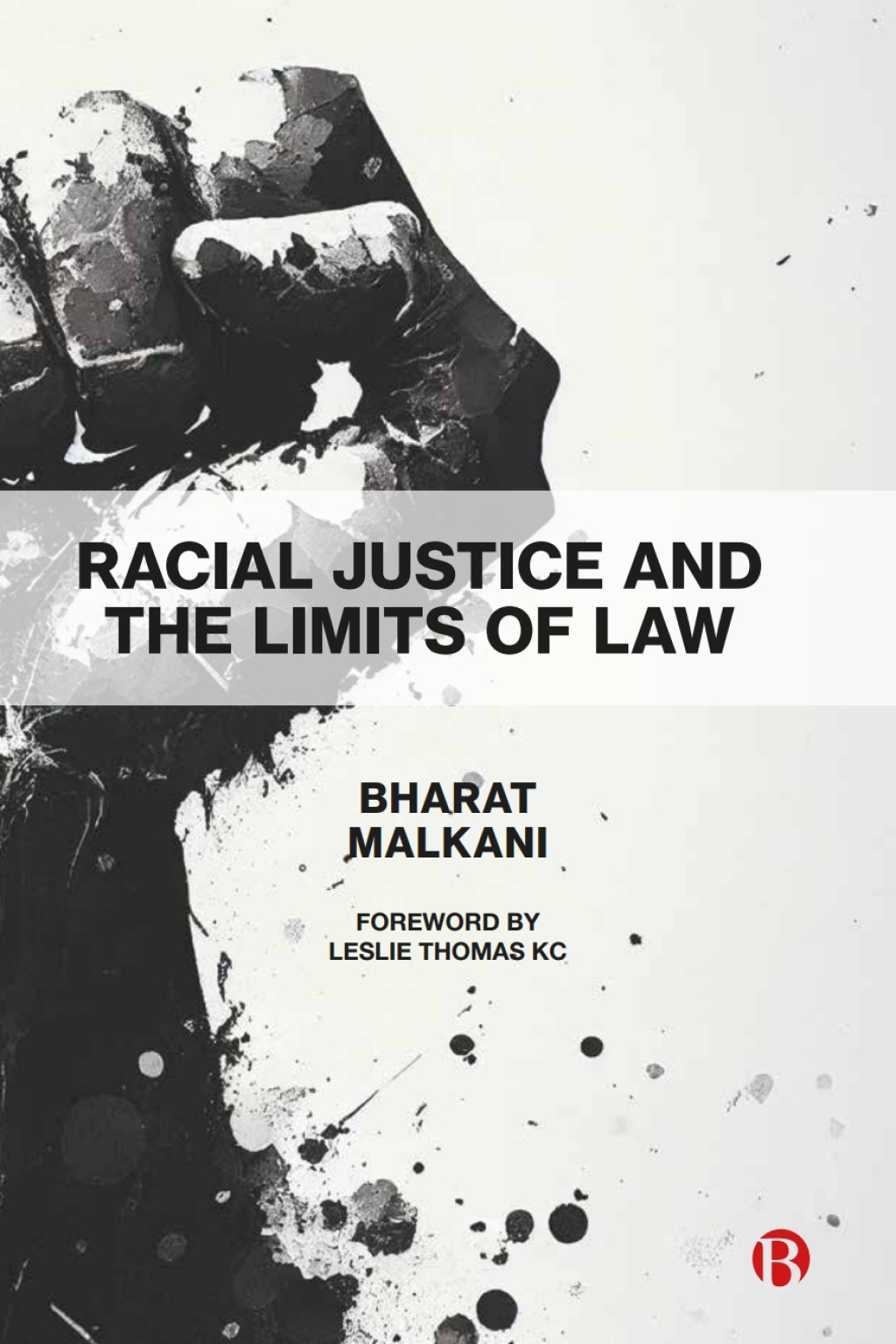 Racial Justice and the Limits of Law 1st Edition â€“ PDF/EPUB Version Downloadable