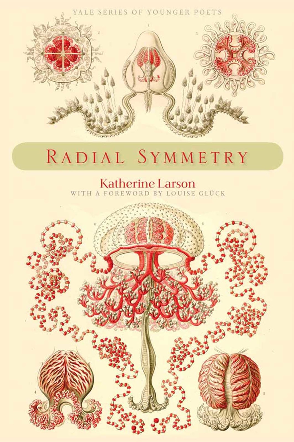 Radial Symmetry  â€“ PDF/EPUB Version Downloadable