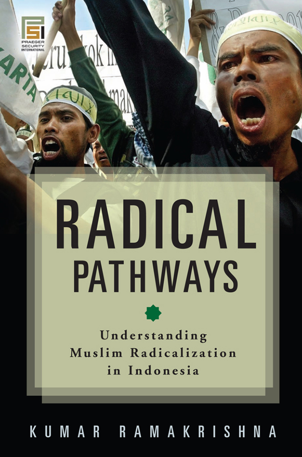 Radical Pathways Understanding Muslim Radicalization in Indonesia 1st Edition â€“ PDF/EPUB Version Downloadable