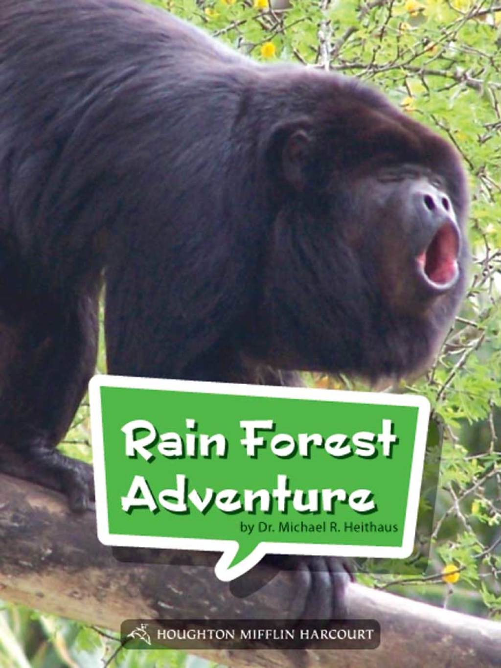 Rainforest Adventure 1st Edition - (PDF/EPUB Version)