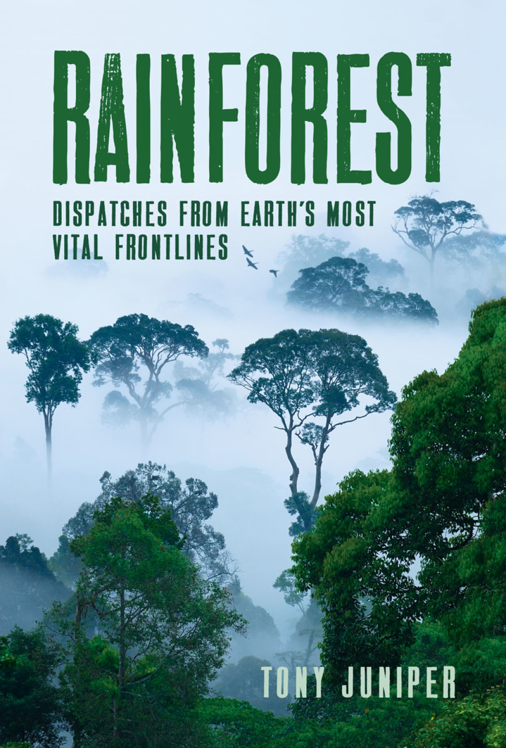 Rainforest Dispatches from Earth's Most Vital Frontlines - (PDF/EPUB Version)