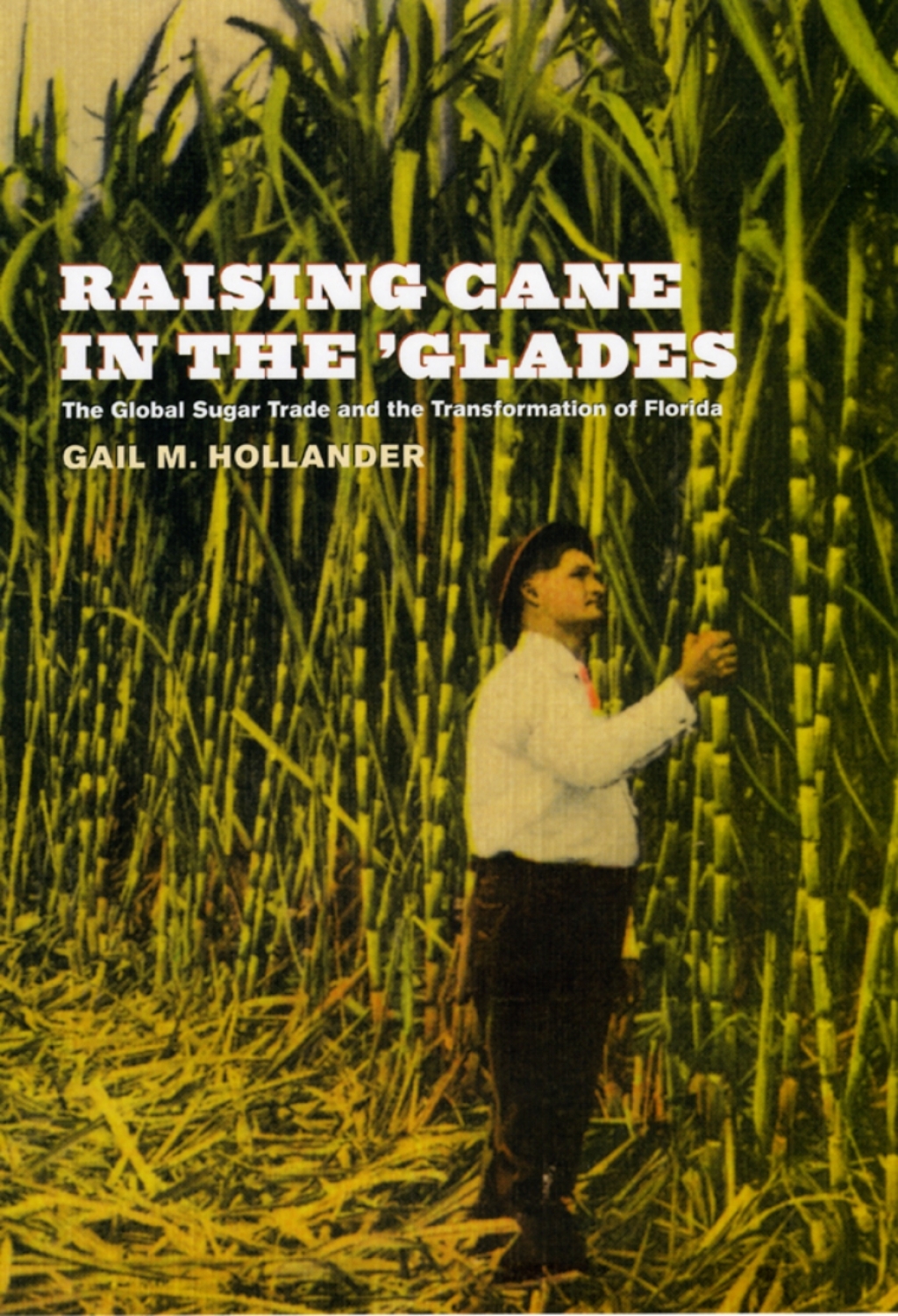 Raising Cane in the 'Glades The Global Sugar Trade and the Transformation of Florida 1st Edition â€“ PDF/EPUB Version Downloadable