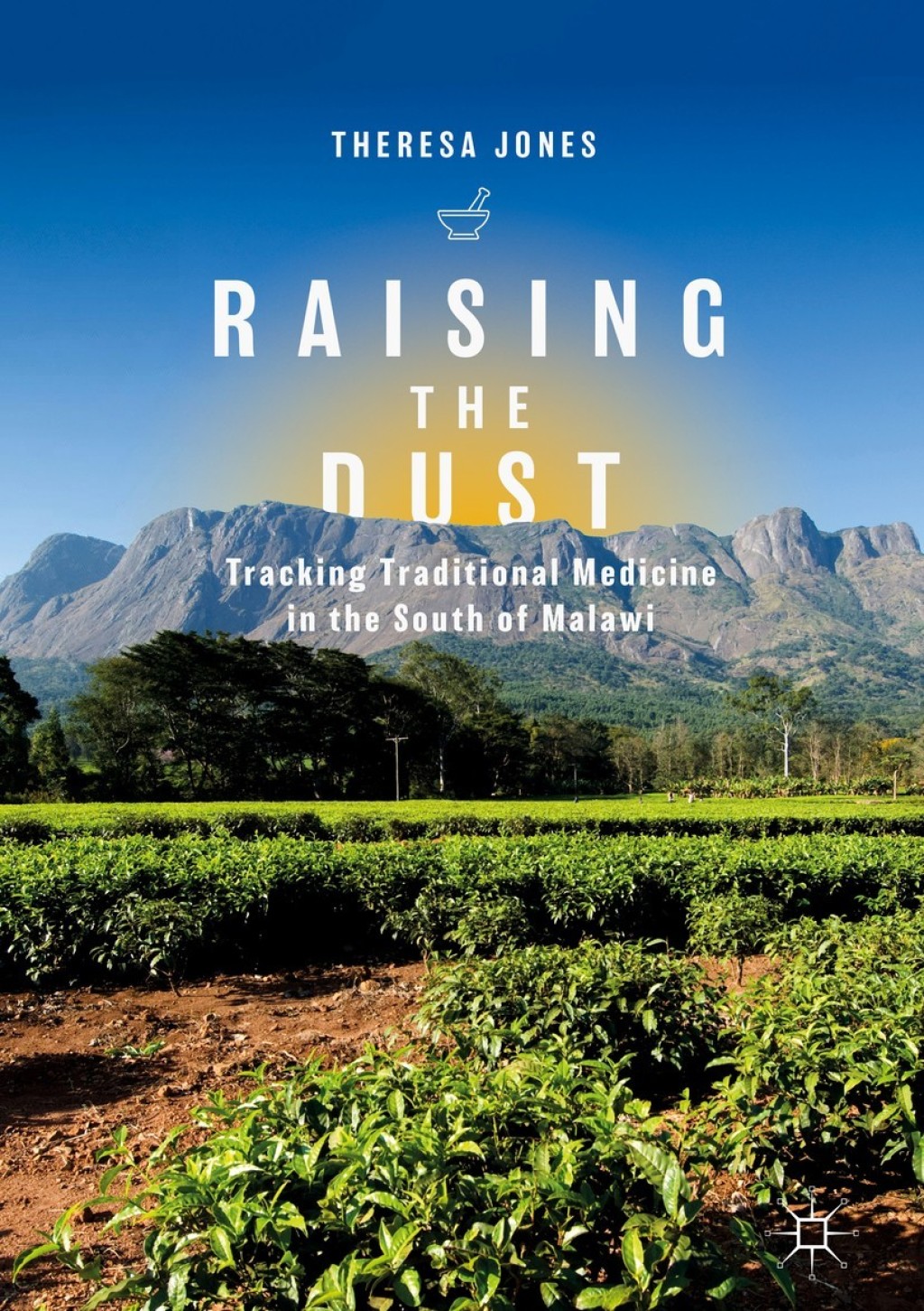 Raising the Dust Tracking Traditional Medicine in the South of Malawi  â€“ PDF/EPUB Version Downloadable