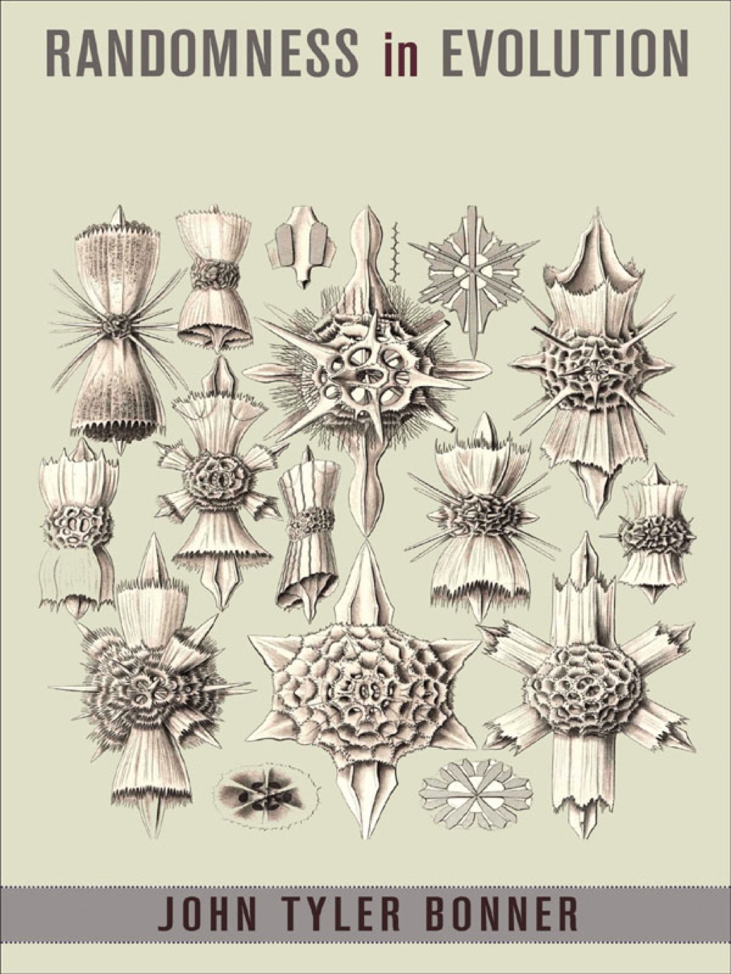 Randomness in Evolution - (PDF/EPUB Version)
