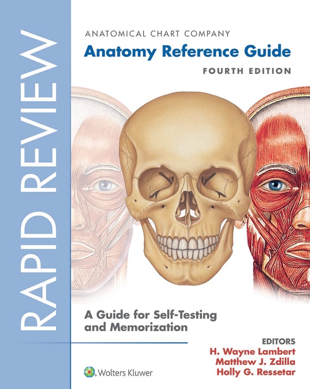 Rapid Review: Anatomy Reference Guide A Guide for Self-Testing and Memorization 4th Edition â€“ PDF/EPUB Version Downloadable