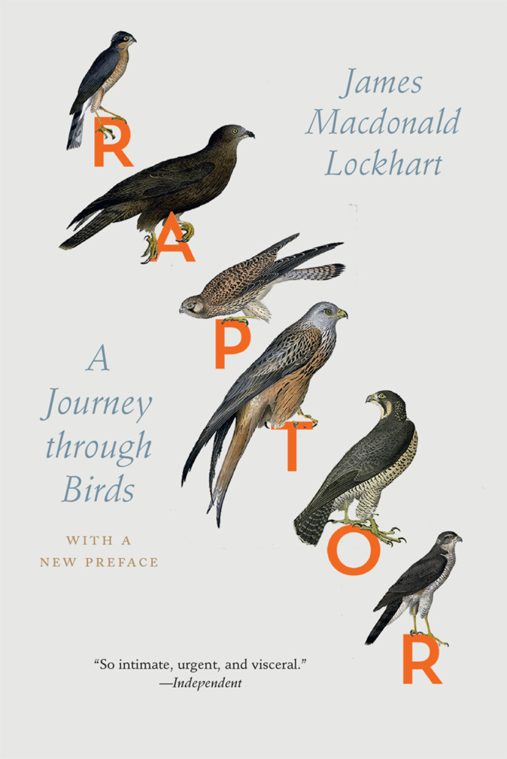Raptor A Journey through Birds 1st Edition - (PDF/EPUB Version)